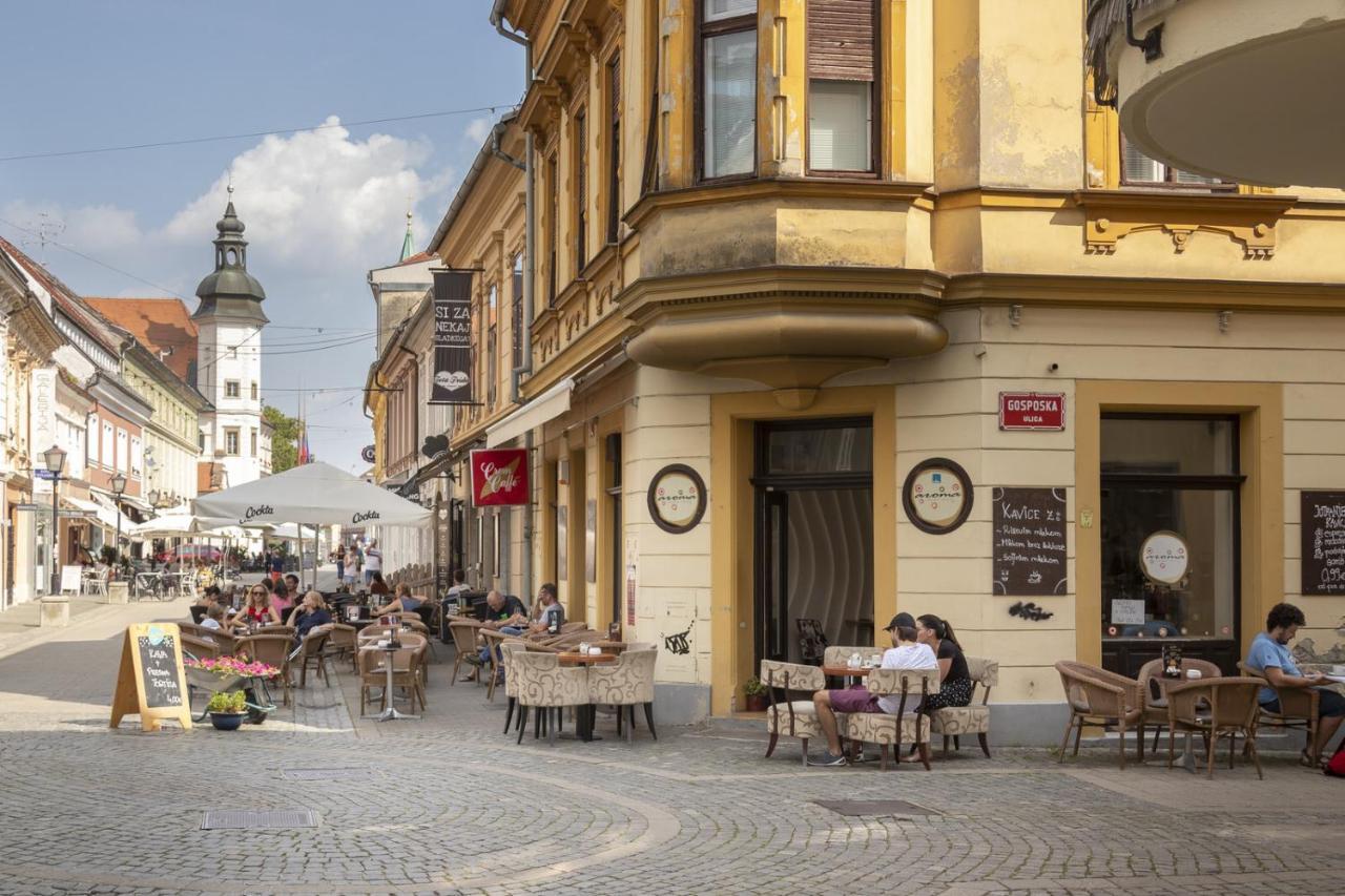 Amazing Apartment In Downtown Maribor Dış mekan fotoğraf