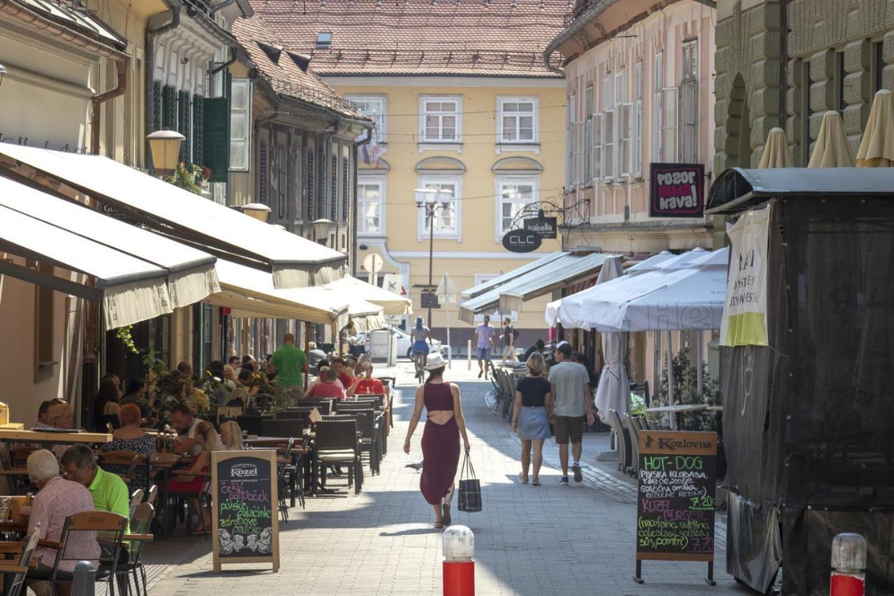 Amazing Apartment In Downtown Maribor Dış mekan fotoğraf